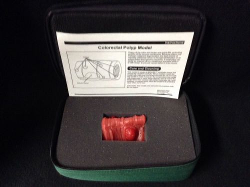 Health EDCO - Colorectal Polyp Anatomical Model # 26811 (with Carrying Case)