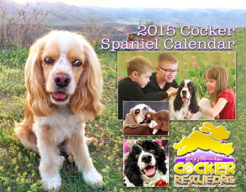 2015 Cocker Spaniel Rescue wall calendar RMCR support a cocker rescue
