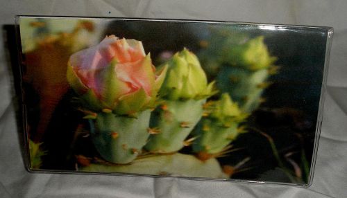 Pretty Texas Gulf Coast Cactus blooms  2015-2016 2 year planner calendar