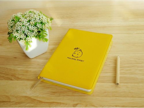 Cute Kawaii Molang Sticker Diary ver.3(2015~2016) Undated planner journal Yellow