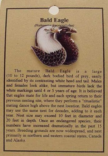 Bald eagle hat pin lapel pins for sale