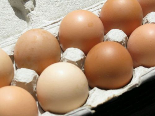 Fertile Assorted Chicken Hatching Eggs - $1 per Egg - Buy One or More