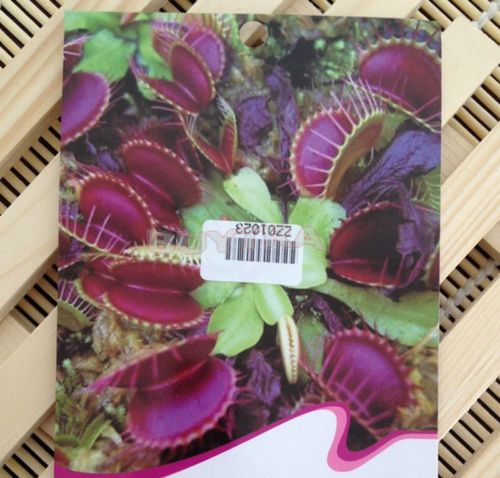 HOT 40pcs Functional Carnivorous VENUS FLY TRAP Seeds With Care Instruction HFCA