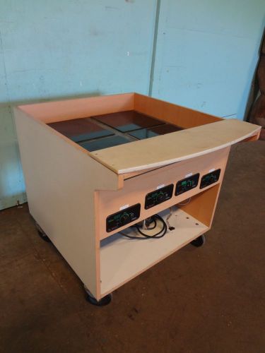 &#034;mr induction&#034;  commercial h.d. electric induction warmers on a wooden cart for sale