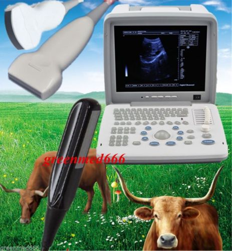 Vet veterinary ultrasound scanner digital machine+ convex&amp;liner&amp;rectal 3probe 3d for sale