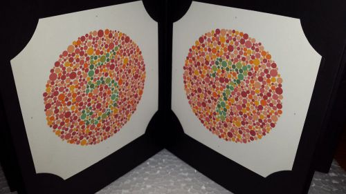 Ishihara Color Blindness Test Book available in 24 plates EHS LHS S