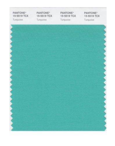 Pantone PANTONE SMART 15-5519X Color Swatch Card, Turquoise