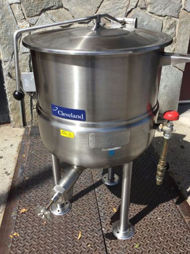 Direct steam kettle for sale