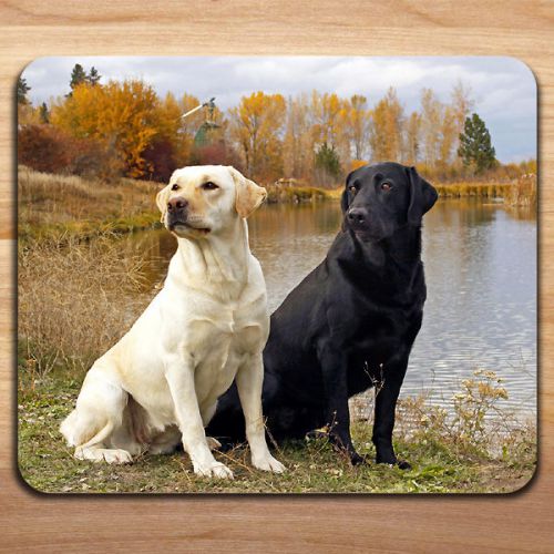Animal Dogs Labrador Retriever Friends Family Mousepad Mouse Pad Mat