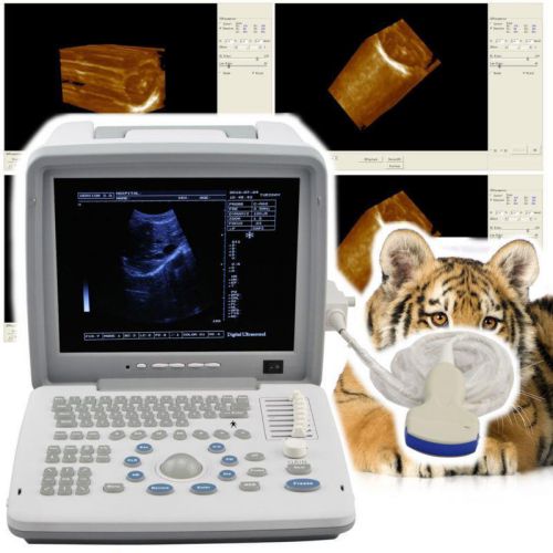 Veterinary vet 3d full digital portable ultrasound scanner convex 3d workstation for sale