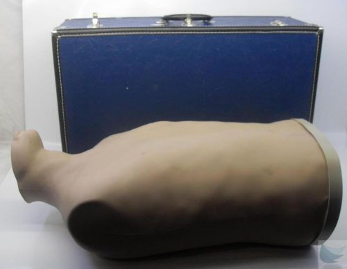 Nasco lifeform auscultation trainer lf01142u torso manikin w/ hard case untested for sale