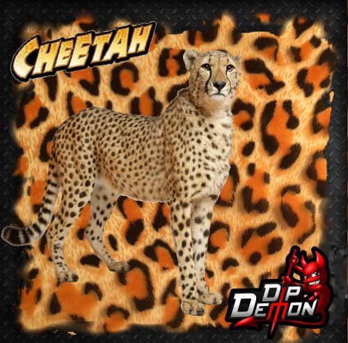 CHEETAH SPOTS W/ TRANSPARENT BACKGROUND HYDROGRAPHIC WATER TRANSFER FILM HYDRO