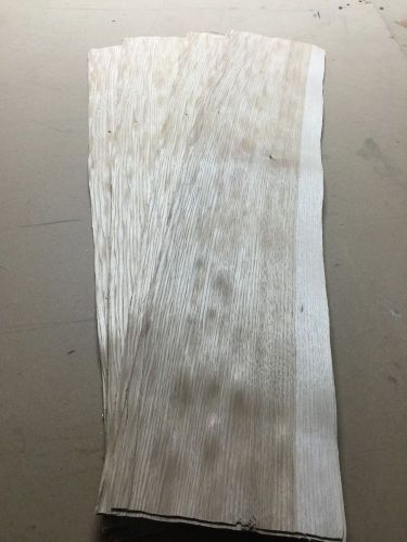 Wood Veneer Hickory 8x34 20Pcs Total Raw Veneer  &#034;EXOTIC&#034; HI3 3-17-16