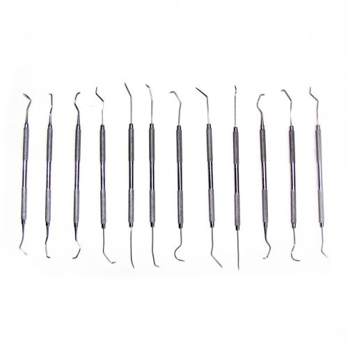 12 Dental Picks Set - Gun Cleaning Carving Modeling Clay Wax Probe Jewelry Tools