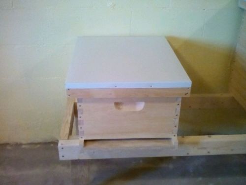 Single 10 frame langstroth beehive for sale