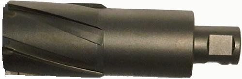 Champion cutting tool corp champion ct300-1-1/4 rotobrute 1-1/4-inch carbide for sale