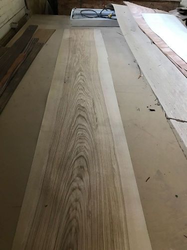 Wood Veneer Olive Ash 16x100 1Pcs Total Raw Veneer  &#034;EXOTIC&#034; OA.S1 11-15-16