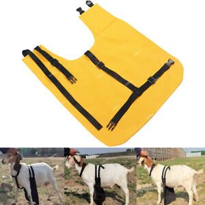 Anti Mating Urine Scald Odor Control Apron w/ Harness Yellow For Goats / Sheep