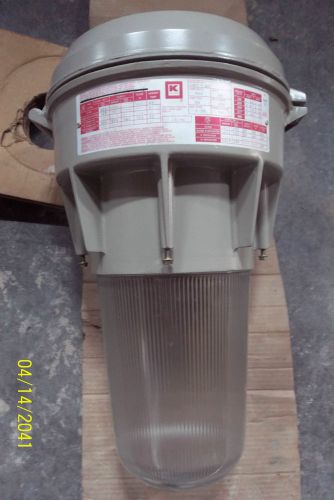 Industrial light fixture - explosion proof for sale