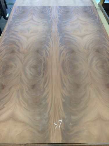Wood veneer crotch mahogany 48x75 1pcs total 20mil paper backed &#034;exotic&#034; crlm37 for sale