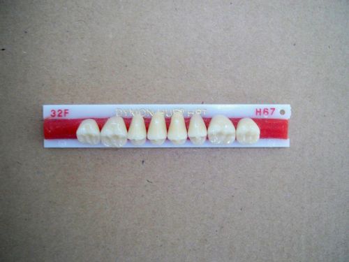 Dymon hue hpt plastic posterior 1x8 denture teeth !! for sale