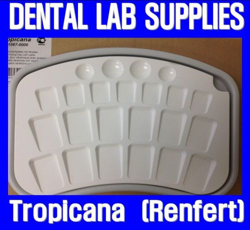 New Dental Lab Tropicana Porcelain Pallete Tray (Renfert)