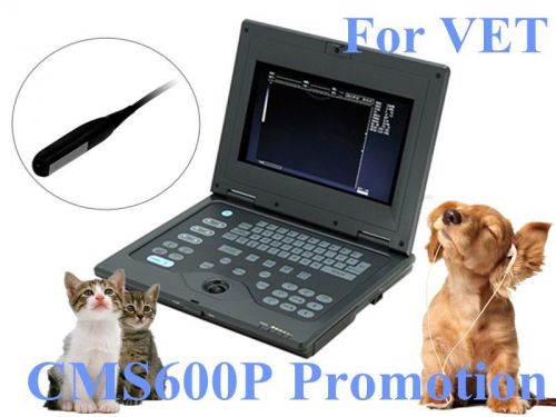 CMS600P Veterinary Portable Laptop Ultrasound scanner 6.5M Rectal Linear For VET