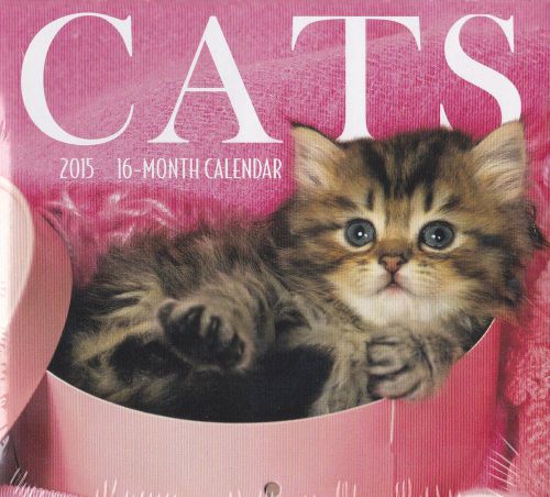2015 CATS Mini Desk Calendar NEW Adorable Kittens Animals