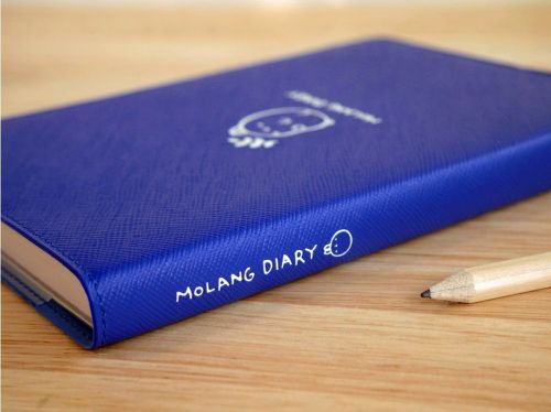 Cute Kawaii Molang Sticker Diary ver.3 (2015~2016) Undated planner journal Blue