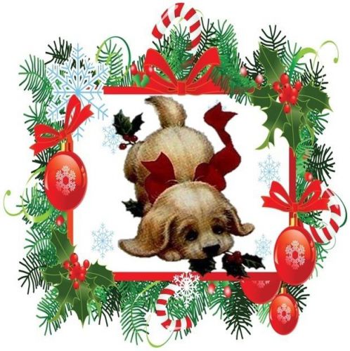 30 Personalized Christmas Animals Return Address Labels Gift Favor Tags (xa18)