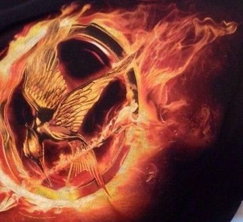Hot New Fire Hunger Games Large  Mouse Pad Hot Gift