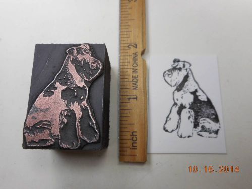 Letterpress Printing Printers Block, Airedale Terrier Dog
