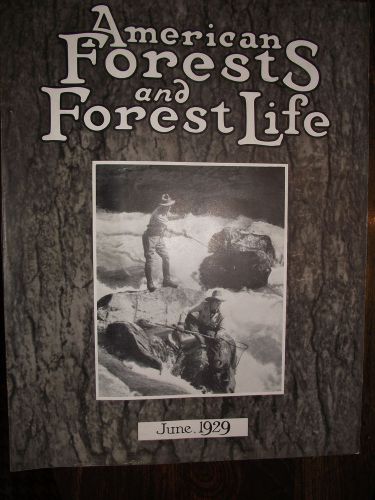 1929 JUNE ~ AMERICAN FOREST MAGAZINE ~ AMERICAN FORESTY ASSOCIATION ~ VERY NICE