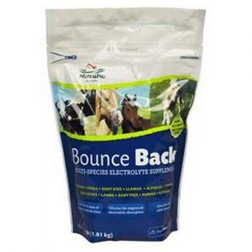 Bounce back multi species electrolyte supplement stress livestock cattle 4 pound for sale