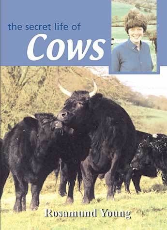 BOOK - The Secret Life Of Cows By: Rosamund Young