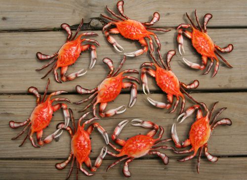 (10) 6&#034;,STEAMED,RED,CRABS,KITCHEN DECOR, CAJUN FOOD DECOR, LOW COUNTRY DECOR,