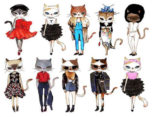 fashionable cats T-shirt iron thermal Fabric Transfers paper light fabrics craft