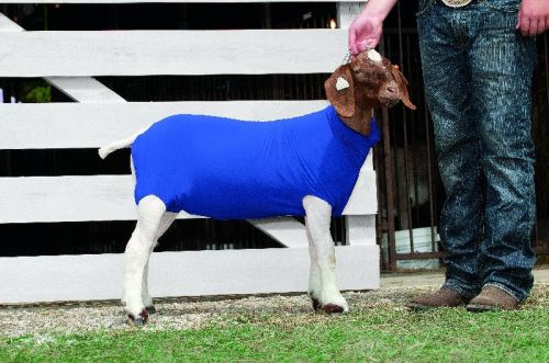Weaver leather spandex goat tube - purple - medium for sale