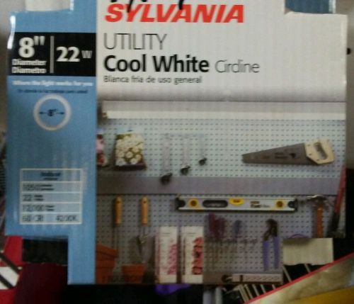 Sylvania Utility Cool White Circline 8&#034; Diamter 22W