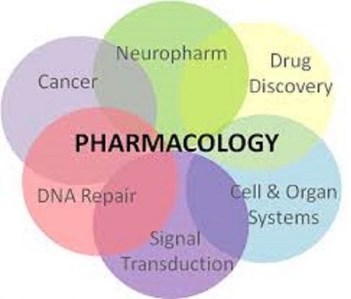 Pharmacology DVD &amp;  Drug Guide in English &amp; Spanish 2 dvds