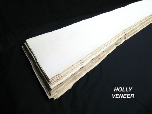 Holly * 1/16 * veneer american lumber white wood, kd 5.25 sq ft for sale