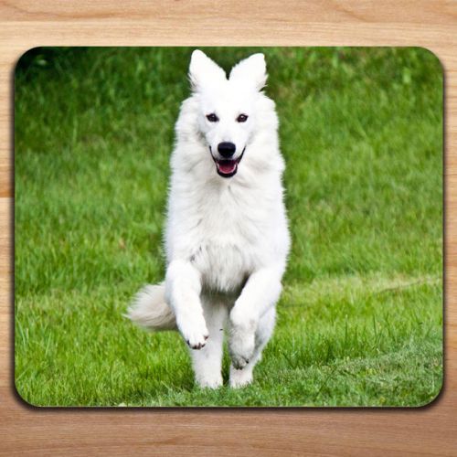 Cute Beautiful White German Shepherd Playful Joy Mousepad Mouse Pad Mat