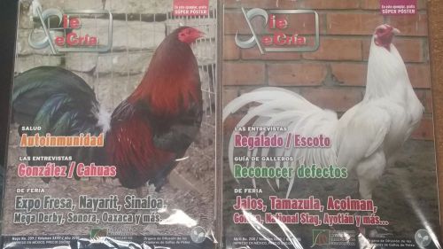 Pie De Cria Magazine Poultry