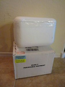 Small Styrofoam Cooler 8x5x4.5 Medical Insulated Shipping Box