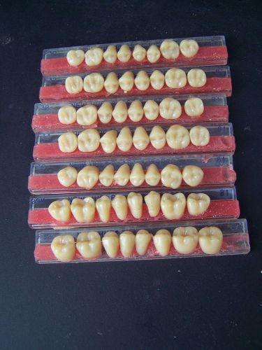 Dentsply NEW HUE Plastic Denture Teeth Posterior Upper &amp; Lower 81,67,77 NEW