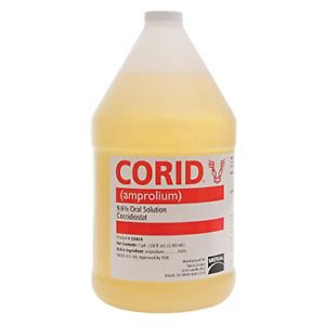 Corid - 9.6% Amprolium Solution - Gallon