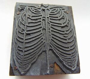 Printing Letterpress Printers Block Bones Rib Cage Medical