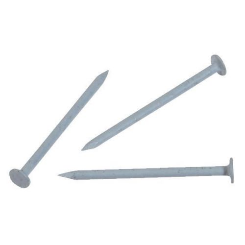 Hillman fastener corp 42076 stainless steel trim nail-1-1/4&#034; blue ss trim nail for sale