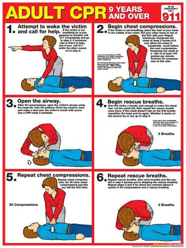 Adult CPR FIRST AID Instructional Wall Chart Poster (ARC-AHA Guidelines)