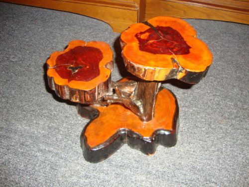 Handmade Wooden Tree Trunck Stand with Finish